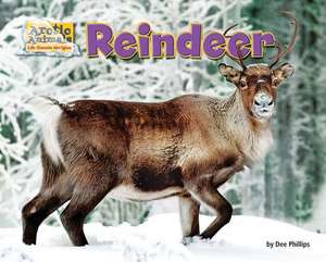 Reindeer de Dee Phillips