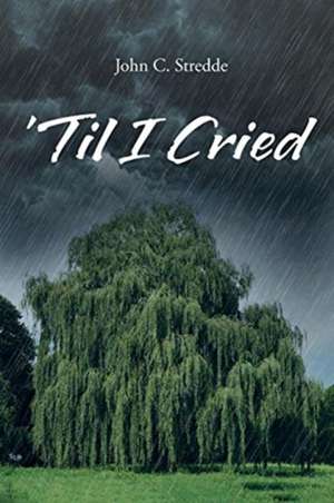 'Til I Cried de John C. Stredde