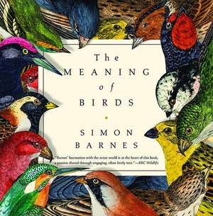 The Meaning of Birds de Simon Barnes