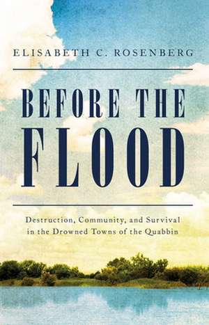 Before the Flood de Elisabeth C Rosenberg