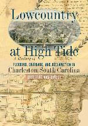 Lowcountry at High Tide de Christina Rae Butler