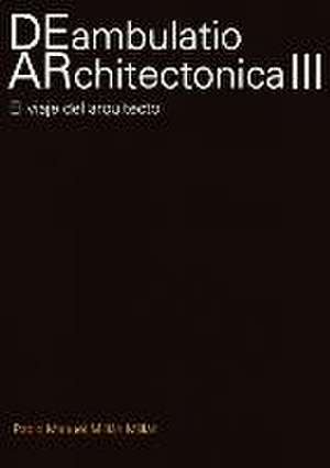 DEambulatio ARchitectónica III de Pablo Manuel Millán Millán