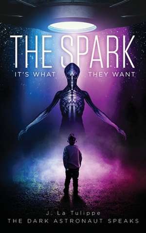 The Spark de The Dark Astronaut