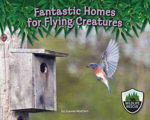 Fantastic Homes for Flying Creatures de Joanne Mattern