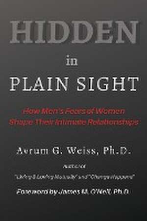 Hidden in Plain Sight de Avrum G Weiss
