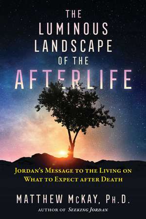 The Luminous Landscape of the Afterlife: Jordan's Message to the Living on What to Expect after Death de Matthew McKay