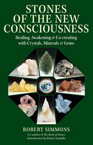 Stones of the New Consciousness: Healing, Awakening, and Co-creating with Crystals, Minerals, and Gems de Robert Simmons