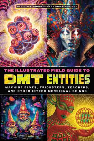 The Illustrated Field Guide to DMT Entities: Machine Elves, Tricksters, Teachers, and Other Interdimensional Beings de David Jay Brown