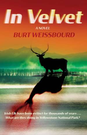 In Velvet de Burt Weissbourd