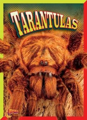 Tarantulas de Marty Gitlin