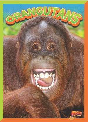 Orangutans de Nicki Clausen-Grace