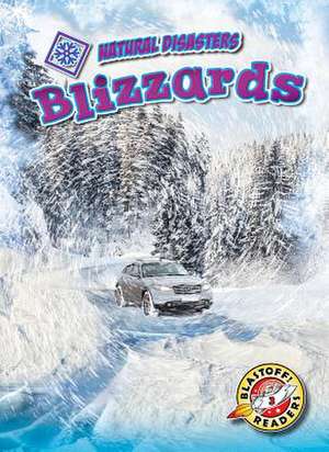 Blizzards de Betsy Rathburn