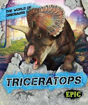 Triceratops de Rebecca Sabelko