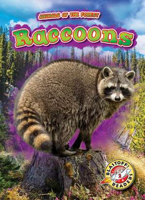 Raccoons de Al Albertson