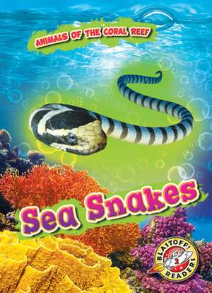 Sea Snakes de Lindsay Shaffer