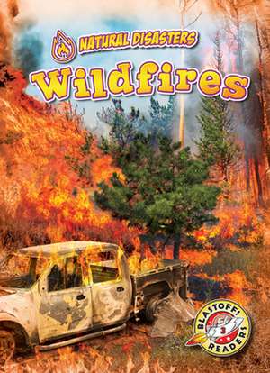 Wildfires de Rebecca Pettiford