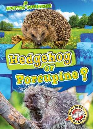 Hedgehog or Porcupine? de Christina Leaf