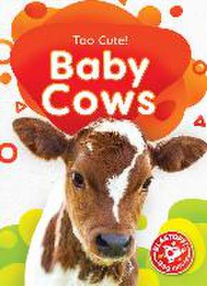 Baby Cows de Rachael Barnes