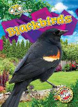 Blackbirds de Rachael Barnes