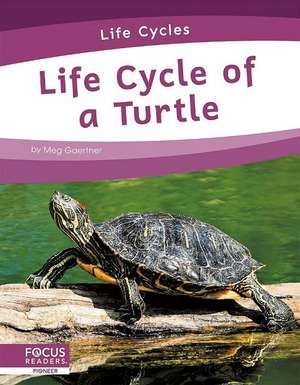 Life Cycle of a Turtle de Meg Gaertner