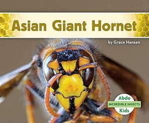 Asian Giant Hornet de Grace Hansen