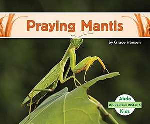 Praying Mantis de Grace Hansen