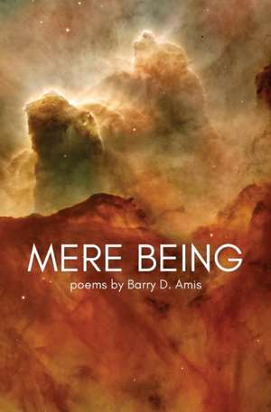 Mere Being de Barry D. Amis