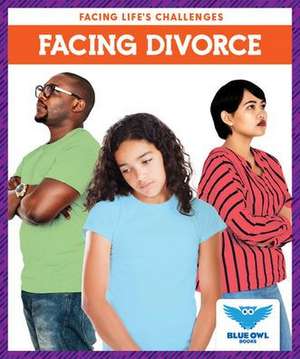 Facing Divorce de Stephanie Finne