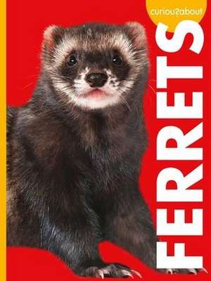 Curious about Ferrets de Alissa Thielges