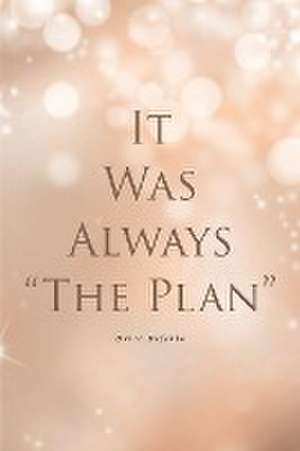 It Was Always "The Plan" de David Defebbo