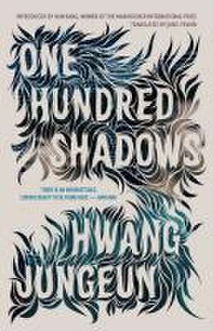 One Hundred Shadows de Hwang Jungeun