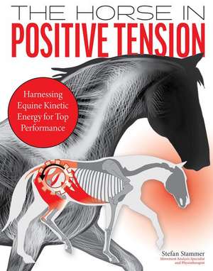 The Horse in Positive Tension de Stefan Stammer