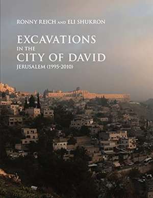 Excavations in the City of David, Jerusalem (1995–2010) de Ronny Reich