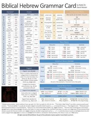 Biblical Hebrew Grammar Card de David Moster