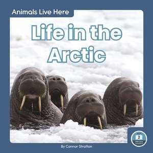 Life in the Arctic de Connor Stratton