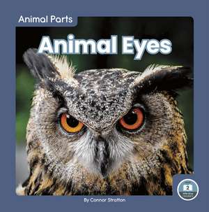 Animal Eyes de Connor Stratton