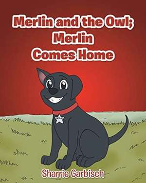 Merlin and the Owl de Sharrie Garbisch