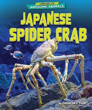 Japanese Spider Crab de Catherine C Finan