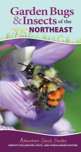 Garden Bugs & Insects of the Northeast: Identify Pollinators, Pests, and Other Garden Visitors de Jaret C. Daniels