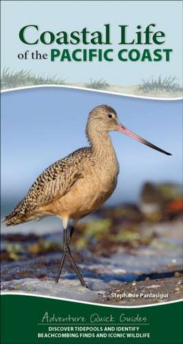 Coastal Life of the Pacific Coast de Stephanie Panlasigui