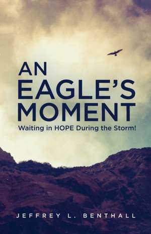 An Eagle's Moment de Jeffrey L. Benthall