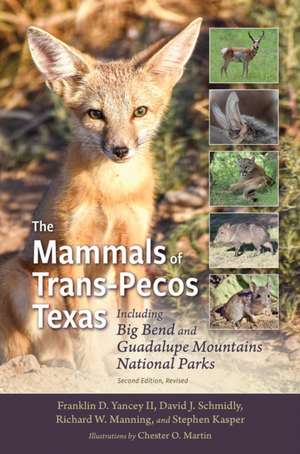 The Mammals of Trans-Pecos Texas de Franklin D Yancey