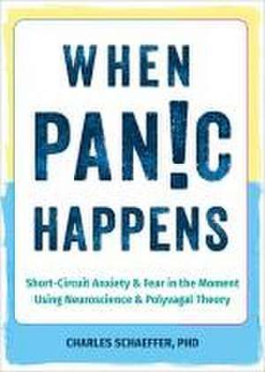 When Panic Happens de Charles Schaeffer