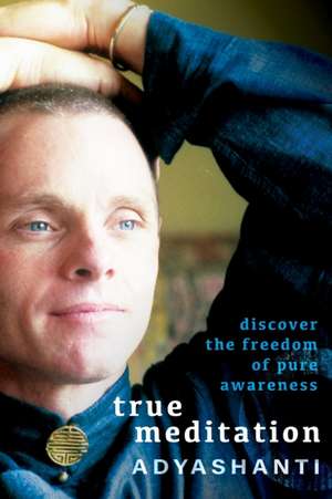 True Meditation de Adyashanti