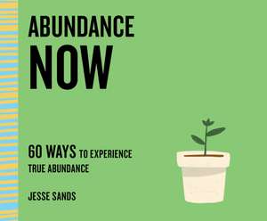 Abundance Now: 60 Ways to Experience True Abundance de Jesse Sands