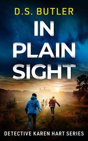 In Plain Sight de D S Butler