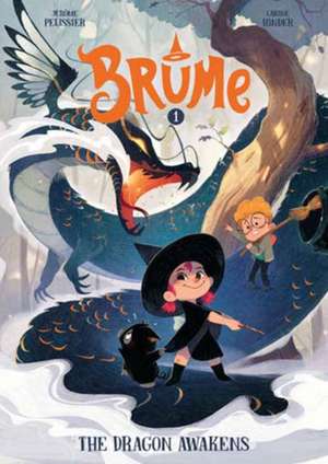 Brume, Volume 1 de Carine Hinder