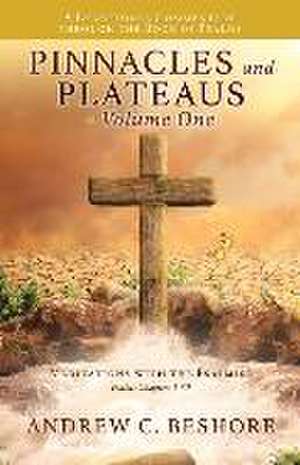 Pinnacles and Plateaus - Volume One: Meditations with the Psalmist de Andrew C. Beshore