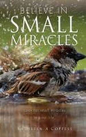 Believe in Small Miracles: Look for small miracles in your life. de Kathleen A. Coppess