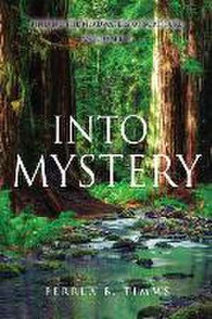 Into Mystery de Cathy Tolbert